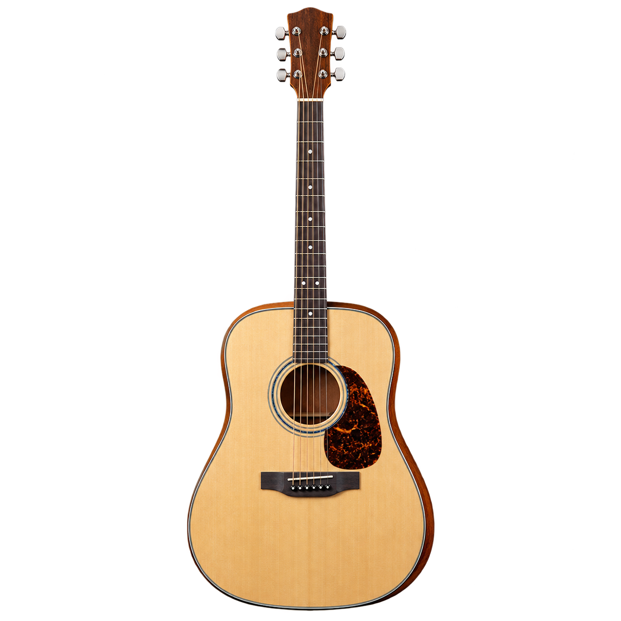 Acoustic Guitar